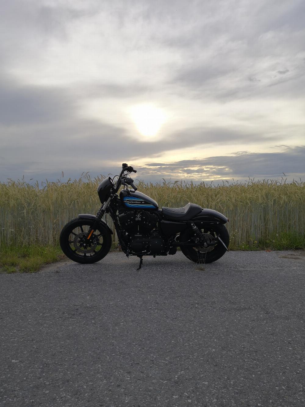 Motorrad verkaufen Harley-Davidson Sportster iron 1200 Ankauf